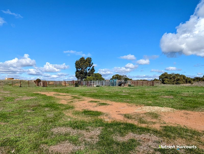 Photo - 2898 & 3178 Gillingarra Road, Mogumber WA 6506 - Image 33