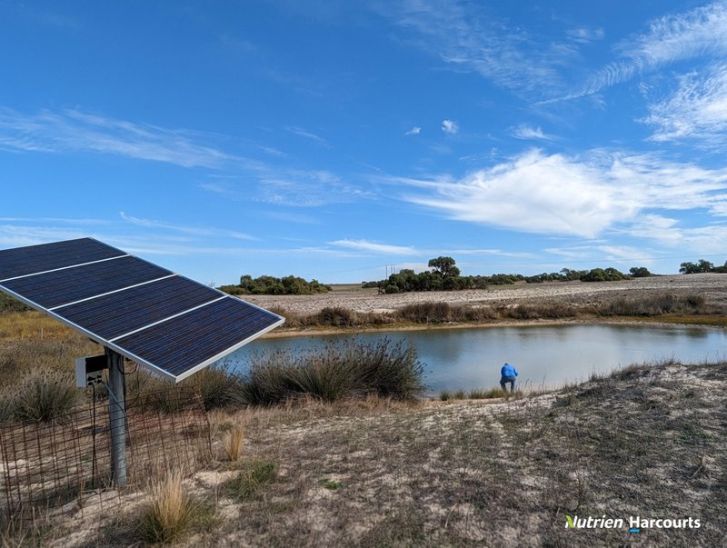 Photo - 2898 & 3178 Gillingarra Road, Mogumber WA 6506 - Image 7