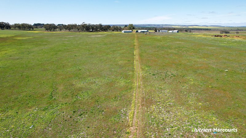 Photo - 2898 & 3178 Gillingarra Road, Mogumber WA 6506 - Image 10