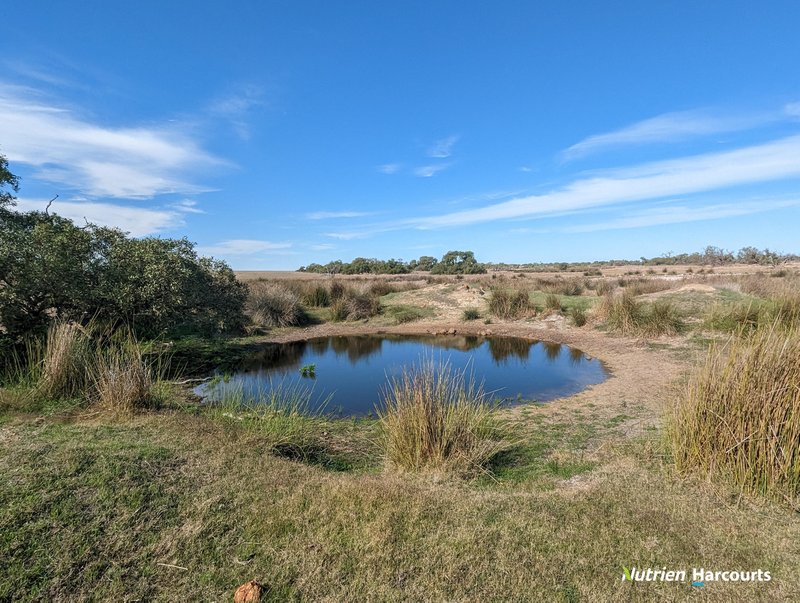 Photo - 2898 & 3178 Gillingarra Road, Mogumber WA 6506 - Image 11