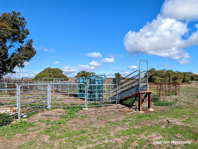 Photo - 2898 & 3178 Gillingarra Road, Mogumber WA 6506 - Image 21