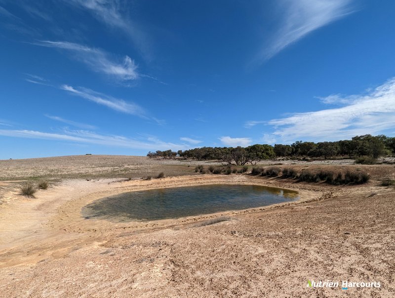 Photo - 2898 & 3178 Gillingarra Road, Mogumber WA 6506 - Image 25