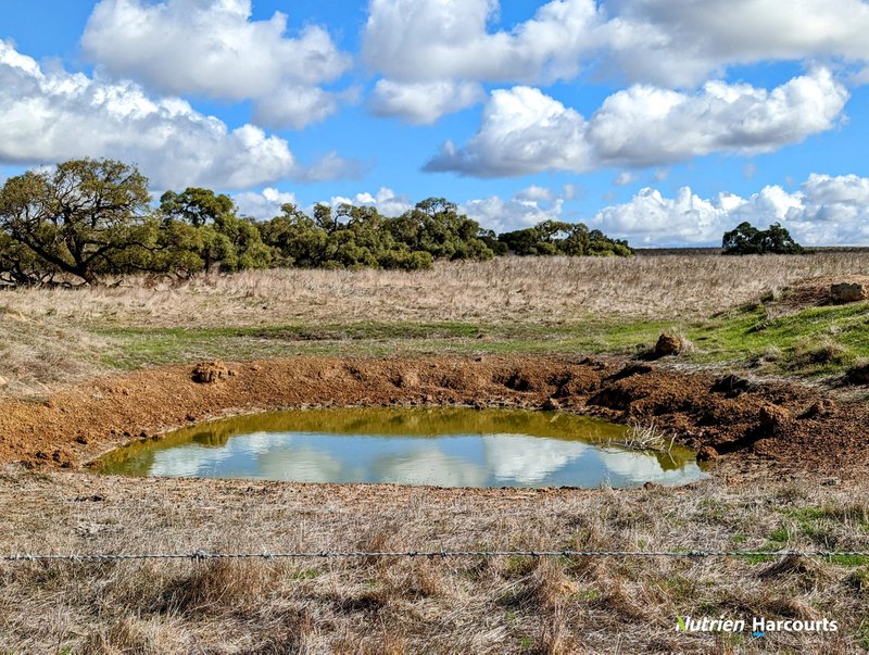 Photo - 2898 & 3178 Gillingarra Road, Mogumber WA 6506 - Image 34