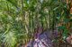 Photo - 28/A Somerset Drive, Buderim QLD 4556 - Image 7