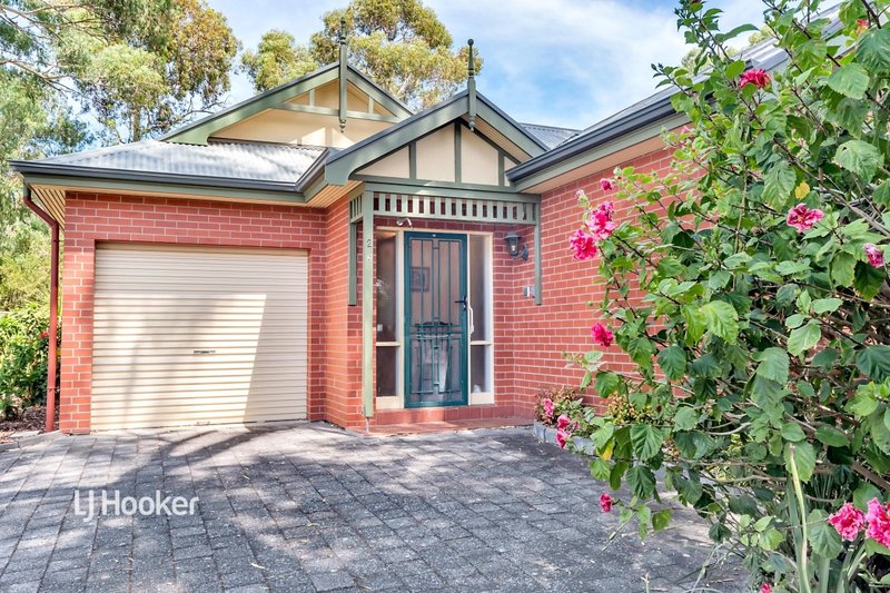 Photo - 2/8A Wynyard Grove, Wattle Park SA 5066 - Image 2