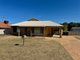 Photo - 29 Abitibi Turn, Joondalup WA 6027 - Image 1