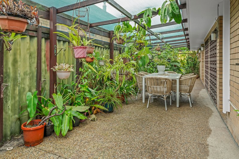 Photo - 29 Annerley Avenue, Runaway Bay QLD 4216 - Image 19