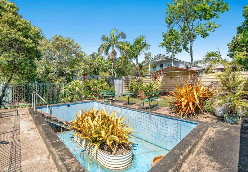 Photo - 29 Aster Street, Cannon Hill QLD 4170 - Image 14