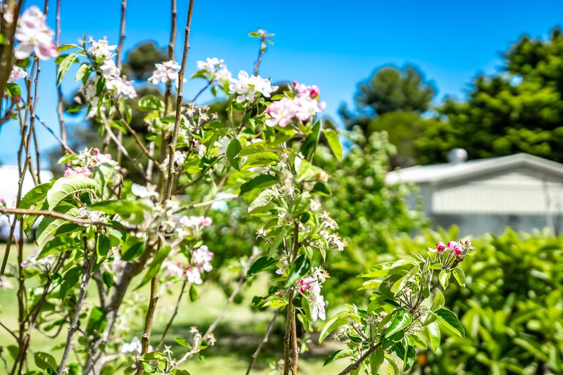 Photo - 29 Banfield Road, Goolwa North SA 5214 - Image 32