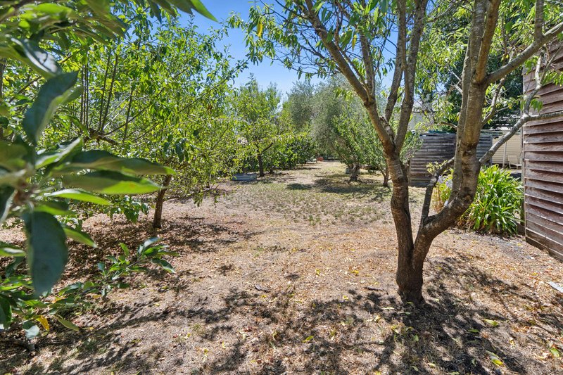 Photo - 29 Baynton Street, Kyneton VIC 3444 - Image 11