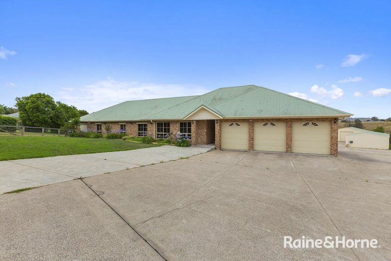 Photo - 29 Blue Gum Drive, Aberglasslyn NSW 2320 - Image 4