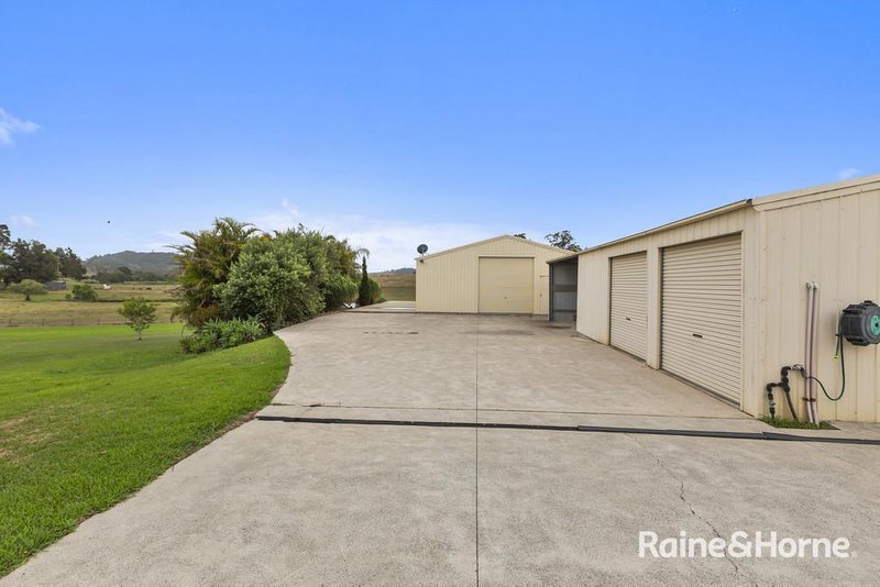 Photo - 29 Blue Gum Drive, Aberglasslyn NSW 2320 - Image 24
