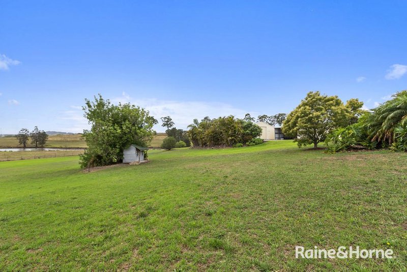 Photo - 29 Blue Gum Drive, Aberglasslyn NSW 2320 - Image 25