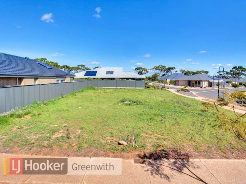 Photo - 29 Boucaut Avenue, Blakeview SA 5114 - Image 2