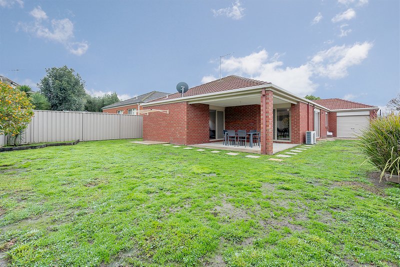 Photo - 29 Bowral Loop, Craigieburn VIC 3064 - Image 14