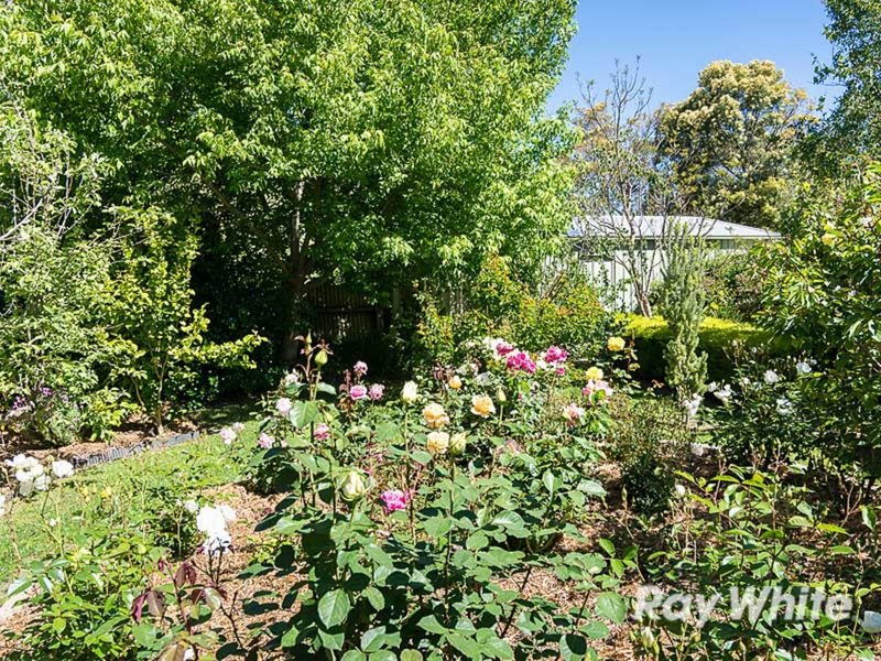 Photo - 29 Callington Road, Strathalbyn SA 5255 - Image 12