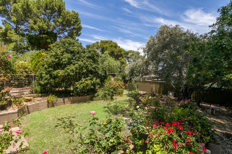 Photo - 29 Calton Road, Gawler East SA 5118 - Image 11