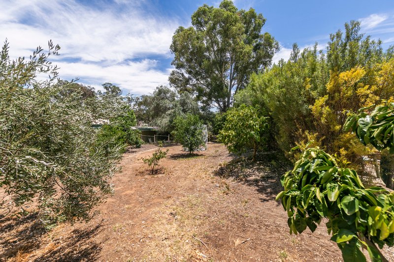 Photo - 29 Calton Road, Gawler East SA 5118 - Image 12