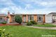 Photo - 29 Celtic Avenue, Clovelly Park SA 5042 - Image 3