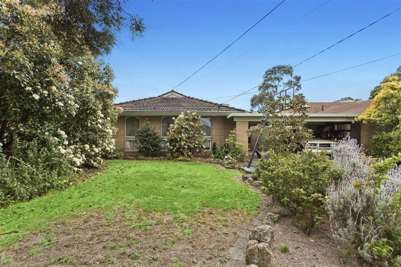 Photo - 29 Chivalry Avenue, Glen Waverley VIC 3150 - Image 2