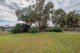 Photo - 29 Conway Street, Wyalong NSW 2671 - Image 25