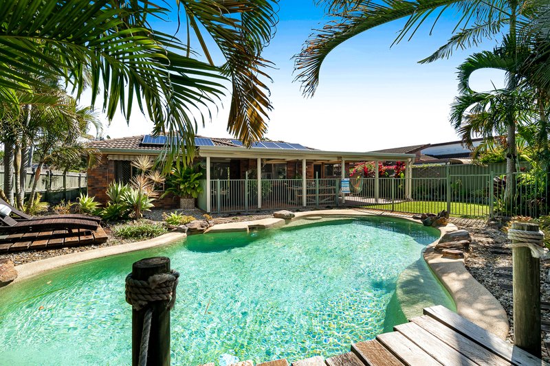 Photo - 29 Coppabella Crescent, Mooloolaba QLD 4557 - Image 4