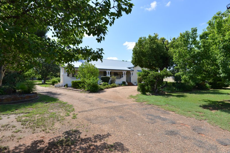 Photo - 29 Cowper Street, Coonabarabran NSW 2357 - Image 3