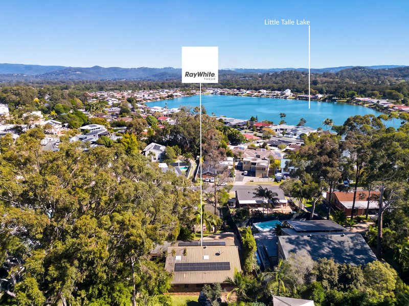 Photo - 29 Currant Street, Elanora QLD 4221 - Image 16
