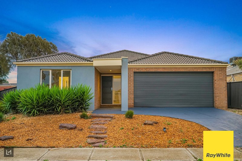 29 Danfield Drive, Tarneit VIC 3029