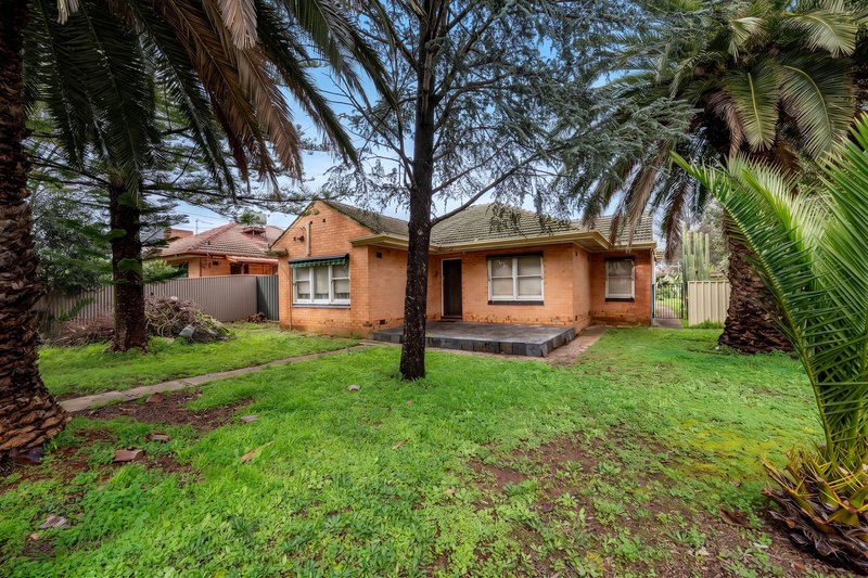 Photo - 29 Davis Road, Glynde SA 5070 - Image 2