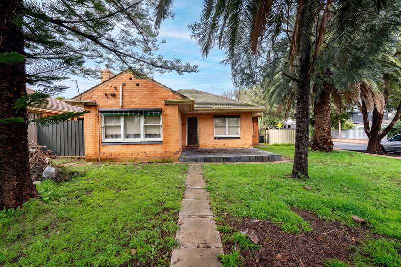Photo - 29 Davis Road, Glynde SA 5070 - Image 3
