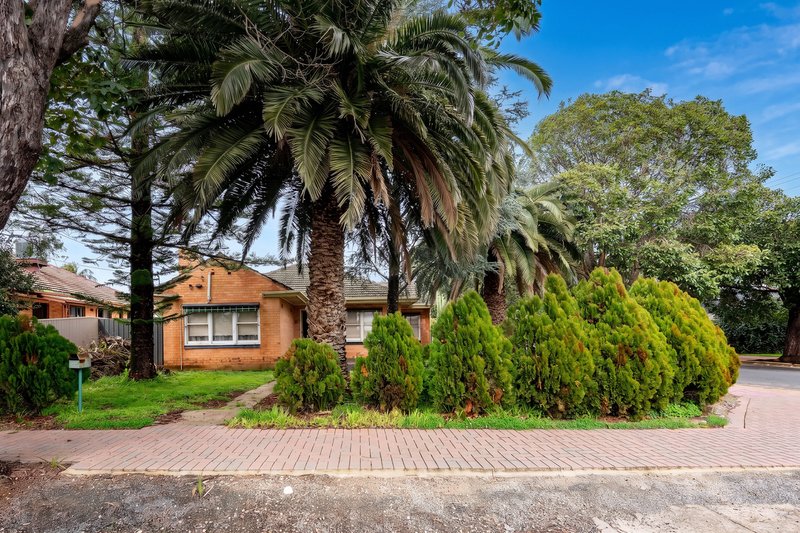 Photo - 29 Davis Road, Glynde SA 5070 - Image 5