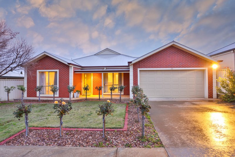 29 Drings Way, Gol Gol NSW 2738