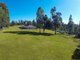 Photo - 29 Egan Rd , Beaudesert QLD 4285 - Image 23