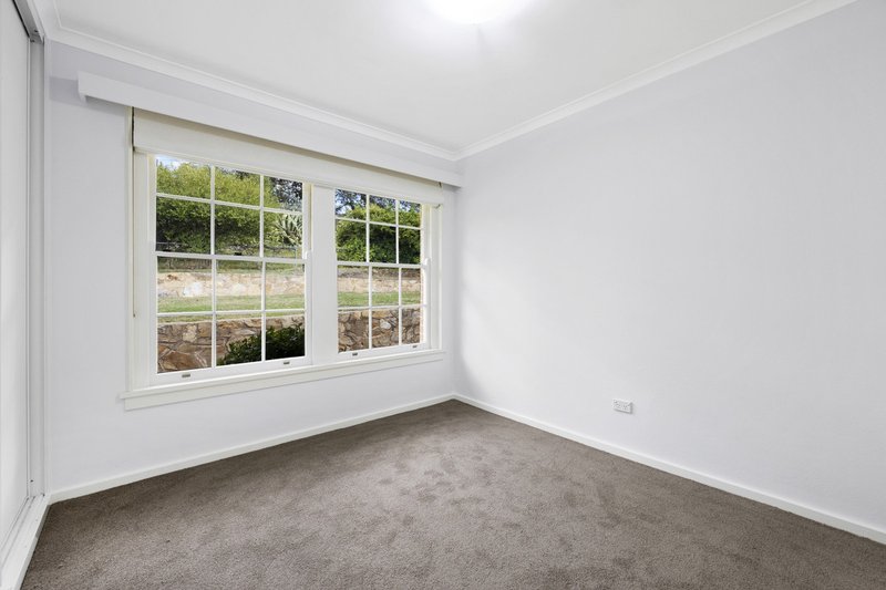 Photo - 29 Endeavour Street, Red Hill ACT 2603 - Image 13