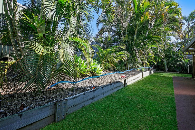 Photo - 29 Ferndown Street, Alexandra Hills QLD 4161 - Image 14