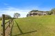 Photo - 29 First Avenue, Tarzali QLD 4885 - Image 3