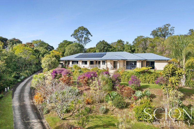 Photo - 29 Flooded Gum Place, Black Mountain QLD 4563 - Image 22