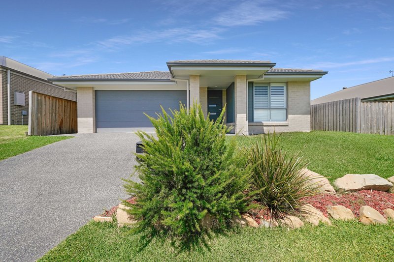 29 Golden Whistler Avenue, Aberglasslyn NSW 2320