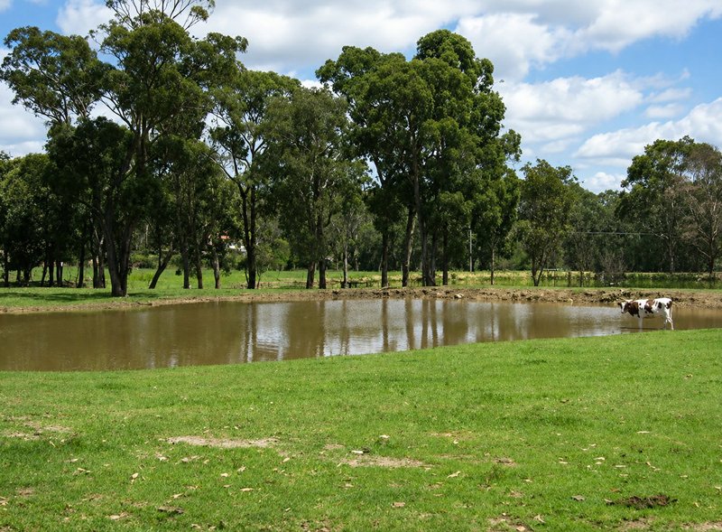 Photo - 29 Great Sourthern Road, Bargo NSW 2574 - Image 4