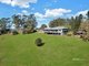 Photo - 29 Harch Road, Witta QLD 4552 - Image 7