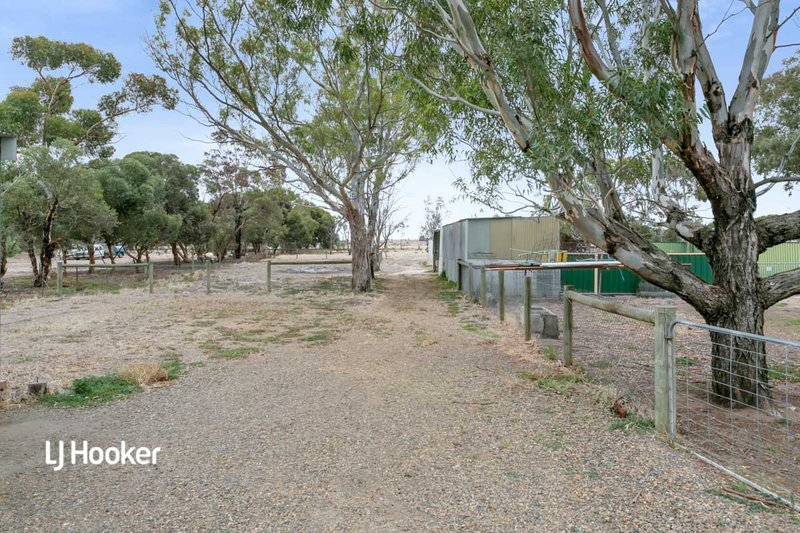 Photo - 29 Hayman Road, Two Wells SA 5501 - Image 16