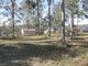 Photo - 29 Heysen Road, New Beith QLD 4124 - Image 6