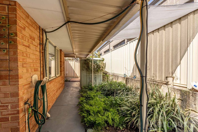 Photo - 29 Hillegine Court, Gosnells WA 6110 - Image 26