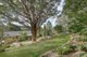 Photo - 29 Hillside Crescent, , Teralba NSW 2284 - Image 1