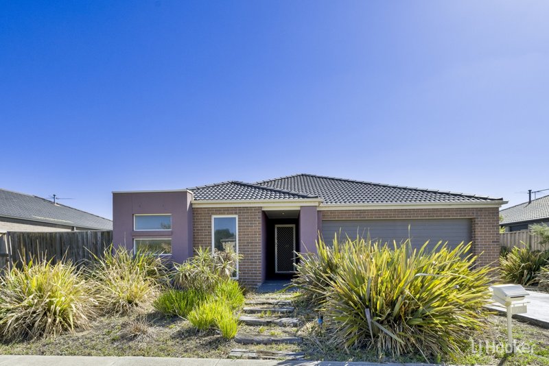 29 Hydrangea Drive, Point Cook VIC 3030