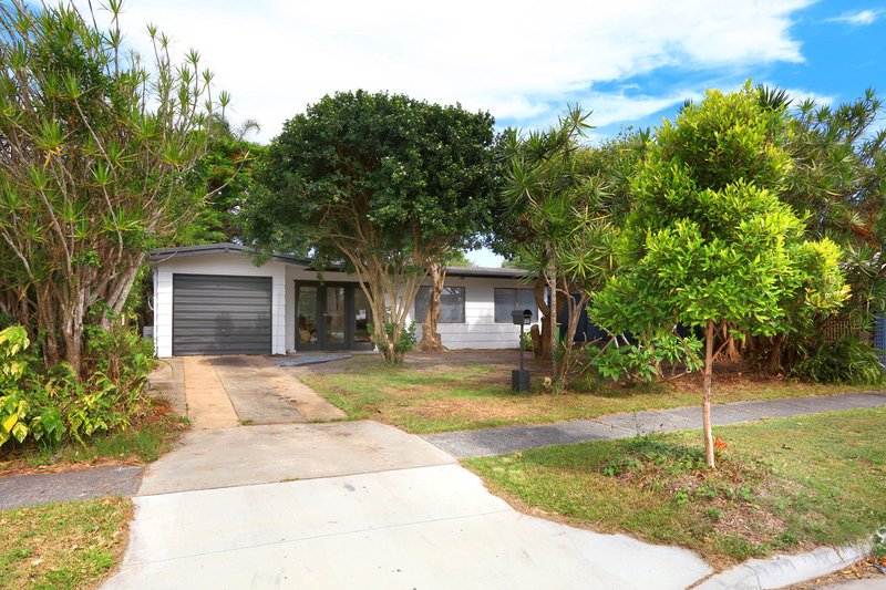 Photo - 29 Jacaranda Avenue, Hollywell QLD 4216 - Image 5