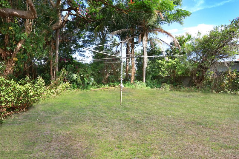 Photo - 29 Jacaranda Avenue, Hollywell QLD 4216 - Image 17