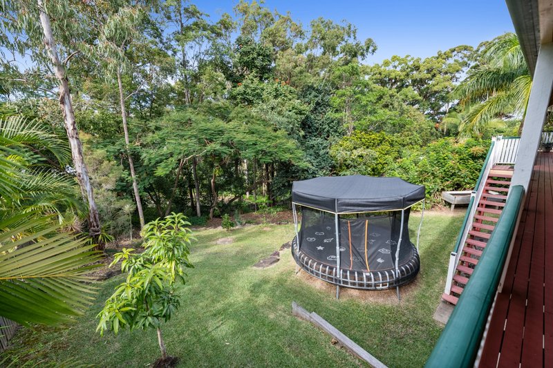 Photo - 29 Le Claire Place, Buderim QLD 4556 - Image 12