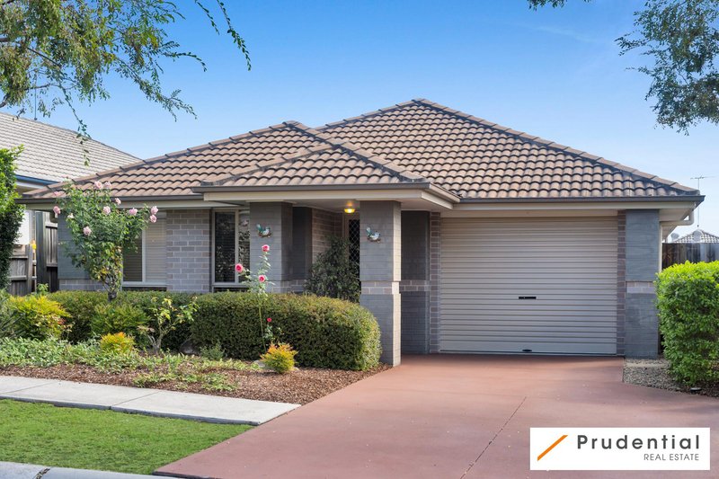 Photo - 29 Longley Avenue, Elderslie NSW 2570 - Image 1